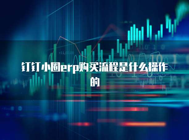钉钉小圈erp购买流程是什么操作的