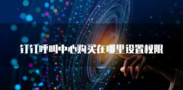 钉钉呼叫中心购买在哪里设置权限