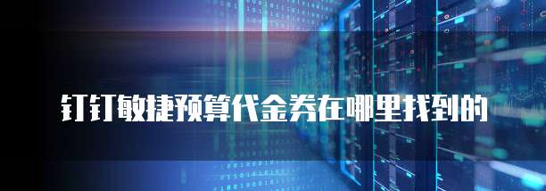 钉钉敏捷预算代金券在哪里找到的