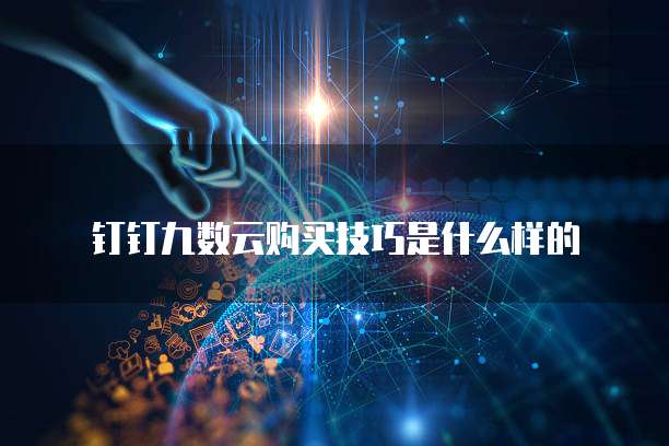 钉钉九数云购买技巧是什么样的