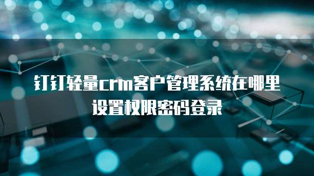 钉钉轻量crm客户管理系统在哪里设置权限密码登录