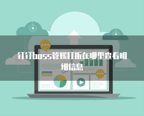 钉钉boss管账打折在哪里查看明细信息