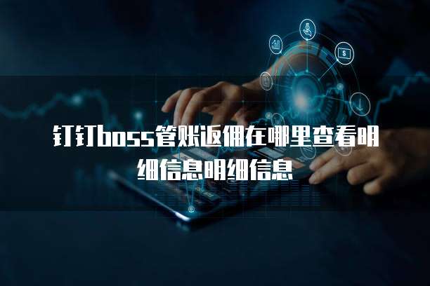 钉钉boss管账返佣在哪里查看明细信息明细信息