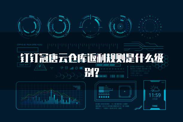 钉钉冠唐云仓库返利规则是什么级别?