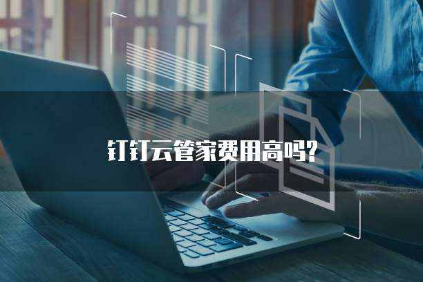 钉钉云管家费用高吗?