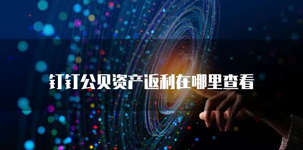 钉钉公贝资产返利在哪里查看