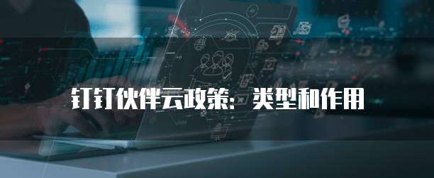 钉钉伙伴云政策：类型和作用