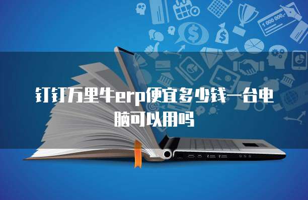 钉钉万里牛erp便宜多少钱一台电脑可以用吗