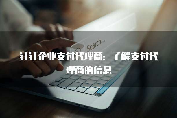 钉钉企业支付代理商:了解支付代理商的信息