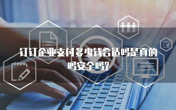 钉钉企业支付多少钱合适吗是真的吗安全吗?