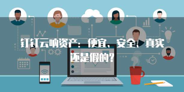 钉钉云呐资产:便宜、安全、真实还是假的?