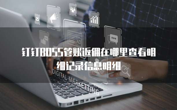 钉钉BOSS管账返佣在哪里查看明细记录信息明细