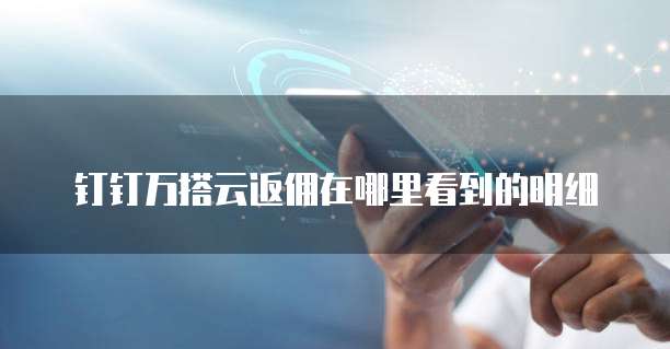 钉钉万搭云返佣在哪里看到的明细