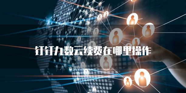 钉钉九数云续费在哪里操作