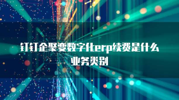 钉钉企聚变数字化erp续费是什么业务类别