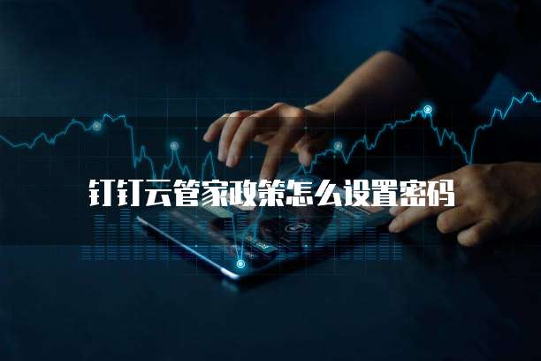 钉钉云管家政策怎么设置密码