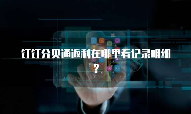 钉钉分贝通返利在哪里看记录明细？