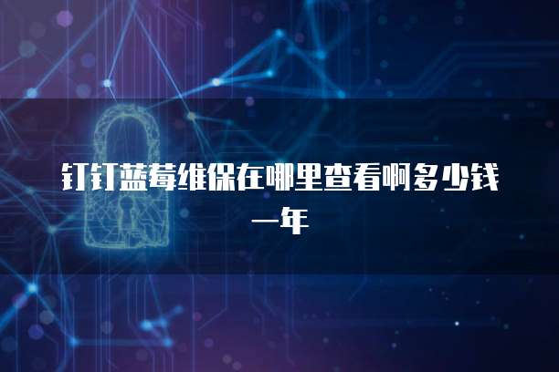 钉钉蓝莓维保在哪里查看啊多少钱一年