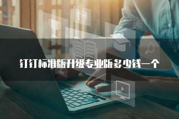 钉钉标准版升级专业版多少钱一个
