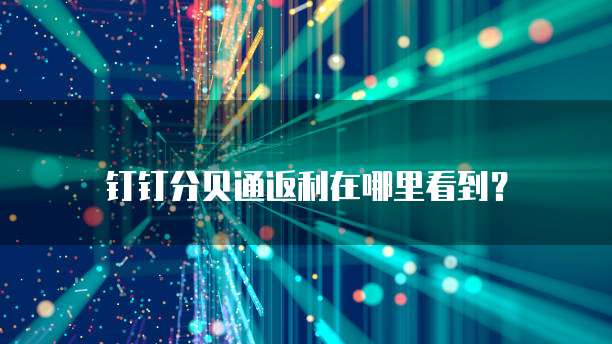 钉钉分贝通返利在哪里看到?