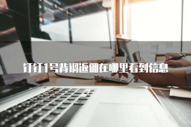 钉钉1号背调返佣在哪里看到信息