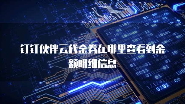 钉钉伙伴云代金券在哪里查看到余额明细信息