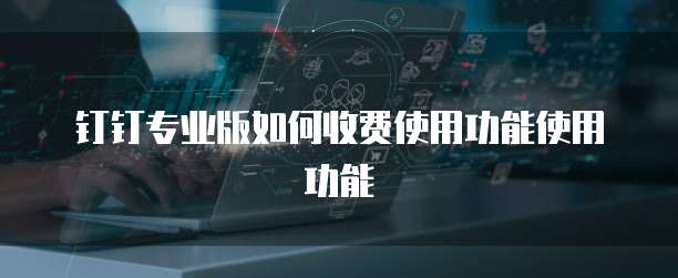 钉钉专业版如何收费使用功能使用功能