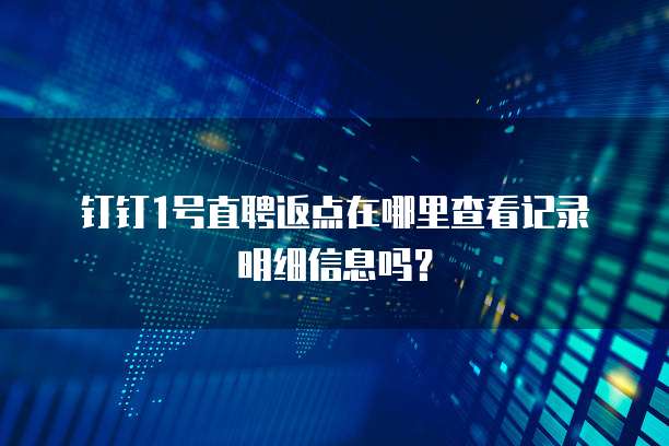 钉钉1号直聘返点在哪里查看记录明细信息吗?