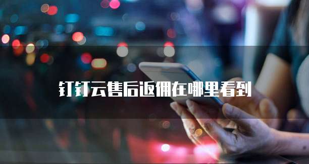 钉钉云售后返佣在哪里看到