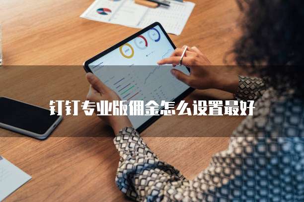 钉钉专业版佣金怎么设置最好