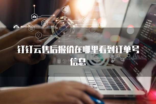 钉钉云售后报价在哪里看到订单号信息