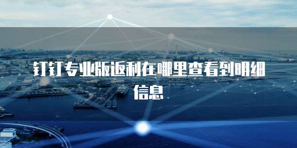 钉钉专业版返利在哪里查看到明细信息
