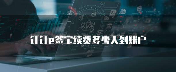钉钉e签宝续费多少天到账户