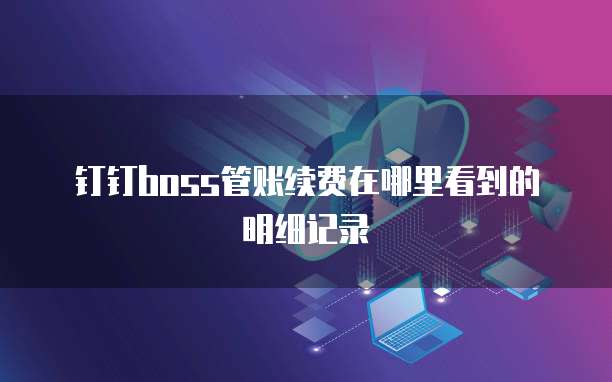 钉钉Boss管账续费在哪里看到的明细记录