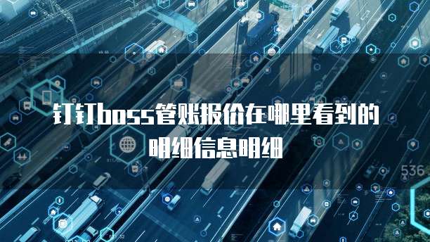 钉钉Boss管账报价在哪里看到的明细信息明细