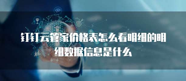 钉钉云管家价格表怎么看明细的明细数据信息是什么
