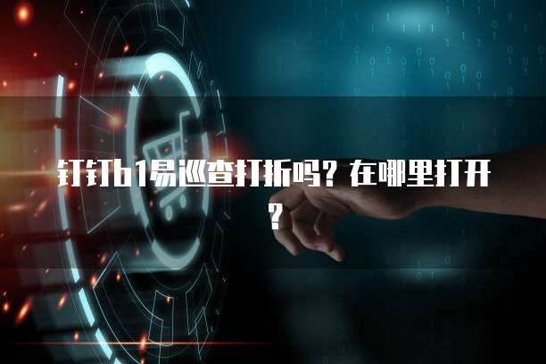 钉钉b1易巡查打折吗?在哪里打开?