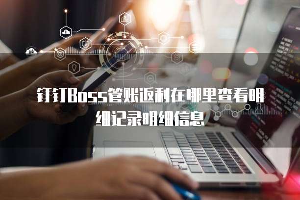 钉钉boss管账返利在哪里查看明细记录明细信息