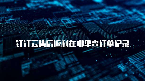 钉钉云售后返利在哪里查订单记录