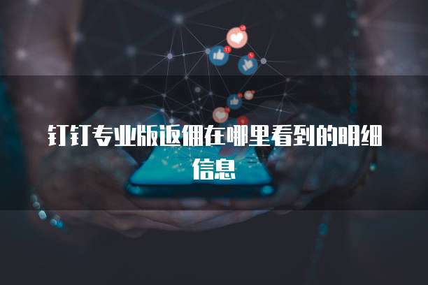 钉钉专业版返佣在哪里看到的明细信息