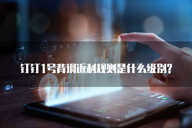 钉钉1号背调返利规则是什么级别?