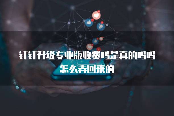 钉钉升级专业版收费吗是真的吗吗怎么弄回来的
