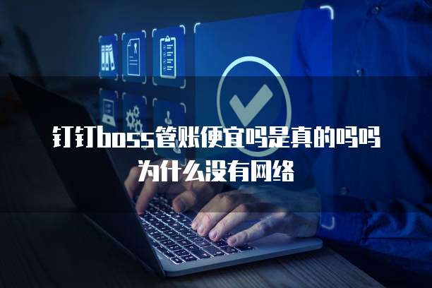 钉钉boss管账便宜吗是真的吗吗为什么没有网络