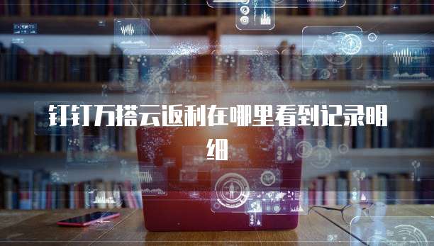 钉钉万搭云返利在哪里看到记录明细
