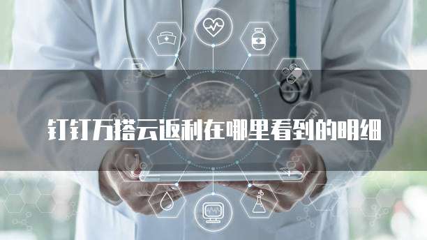 钉钉万搭云返利在哪里看到的明细