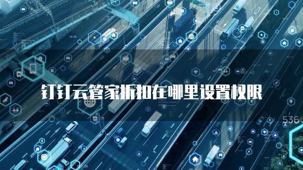 钉钉云管家折扣在哪里设置权限