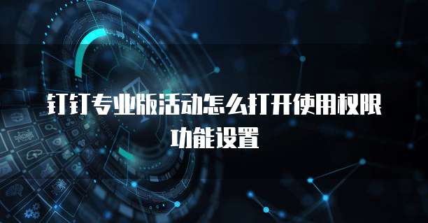 钉钉专业版活动怎么打开使用权限功能设置