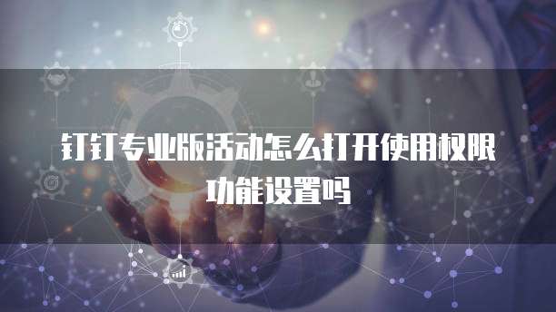 钉钉专业版活动怎么打开使用权限功能设置吗