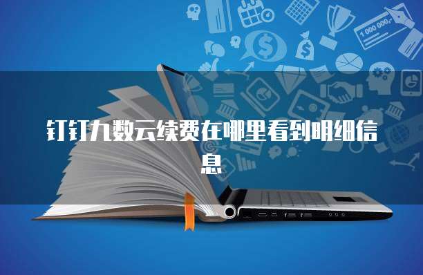 钉钉九数云续费在哪里看到明细信息