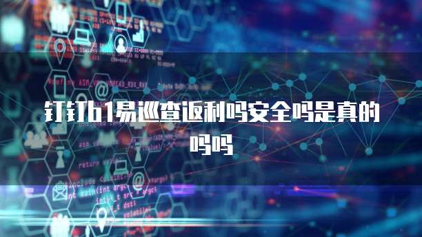 钉钉b1易巡查返利吗安全吗是真的吗吗